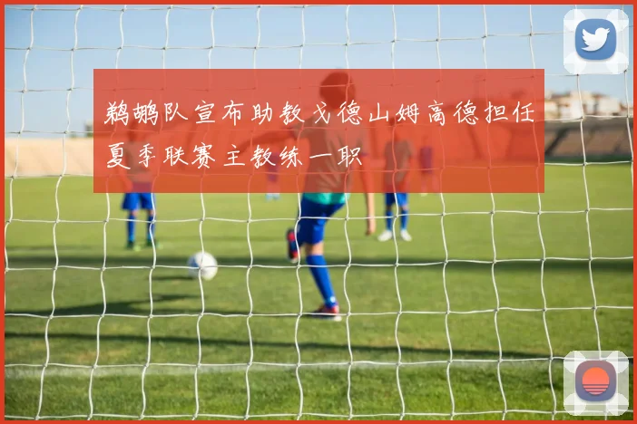 鹈鹕队宣布助教戈德山姆高德担任夏季联赛主教练一职
